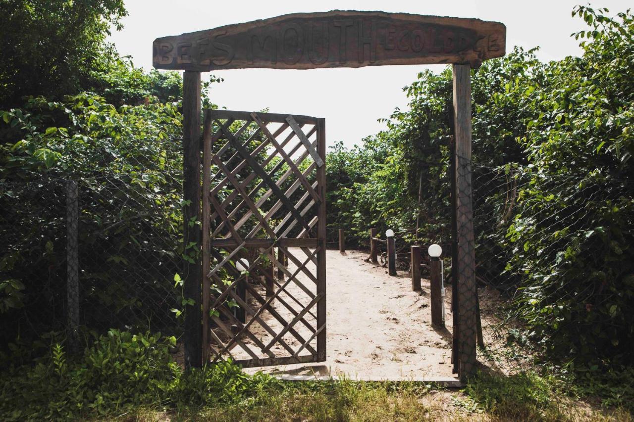 Hôtel Bees Mouth Gambia à Sanyang Extérieur photo